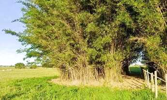 Imagem 5: ÁREA 34.272 M². ESTRADA DO BREJO GRANDE