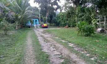 Imagem 4: 0 - Terreno - GUARATIBA