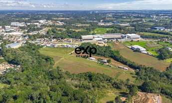 Imagem 6: Terreno Industrial de 12.000 m² - Barro Preto, São José dos Pinhais/PR