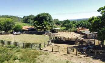 Imagem 4: Fazenda para cria de gado, Marzagão Go