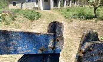 Imagem 5: CHÁCARA SONHO EM CALUGE ITABORAÍ - 3.780m² com CASA + ESCRITURA venda valor 200.000,00