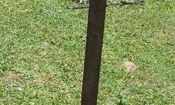 Imagem 2: Terreno a 200 metros da praia