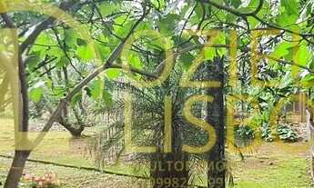 Imagem 7: CHÁCARA 25 HECTARES 25.000 ESCRITURADA 2 CASAS SEDE PISCINA CHURRASQUEIRA DF 180 PLANA 9