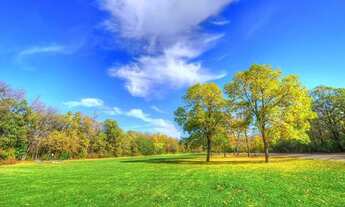 Imagem 6: Imóvel para venda tem 600 metros quadrados em Terra Preta (Terra Preta) - Mairiporã - SP