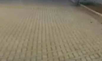 Imagem 2: Vendo lote 26 de Setembro