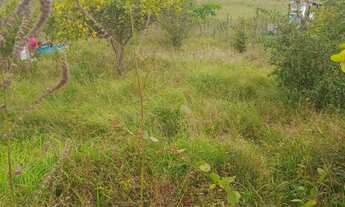 Imagem: Vendo terreno no santa Cecília