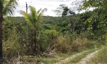 Imagem: Chácara 1 alqueire em Aragoiania