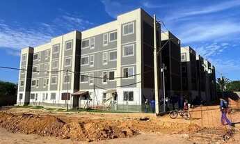 Imagem 4: 070 // AP NO MAIOBAO NA PLANTA