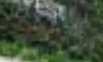 Imagem 2: Belissimo Apartamento para Comprar no Setor Oeste GO