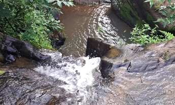 Imagem 2: Sítio situado em Jequiríça-Bahia