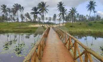 Imagem 7: Imóvel para venda com 22621 metros quadrados em Zona de Expansao Capua - Barra dos Coqueir