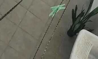 Imagem 7: Alugo no Conjunto Santa Madalena Apto 101, Bloco 33, apto 2 quartos todo reformado, andar