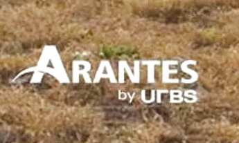 Imagem: Terreno com 250m² à venda no Jardim Ipanema