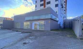 Imagem 3: Sala comercial para locação em Criciúma, 1126m² - Santa Catarina