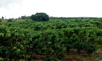 Imagem 5: Vendo fazenda entre são mateus e água limpa