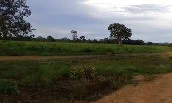Imagem 4: Excelente Fazenda Município Porto Alegre do Norte MT