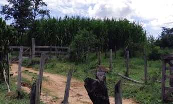 Imagem 3: Terreno para Venda em Ribeirão das Neves, Hortinha