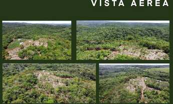 Imagem 5: Lotes especiais de 1000m2 no km 6 em Itacaré