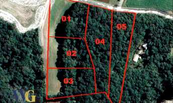 Imagem 5: Terreno Rural para Venda em Campo Largo, Colônia Balbino Cunha