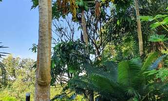 Imagem 6: Terra escriturada 22,900 mil metros em Bonfinópolis