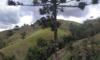 Imagem 4: Excelente chácara a venda em Delfim Moreira sul de Minas Gerais