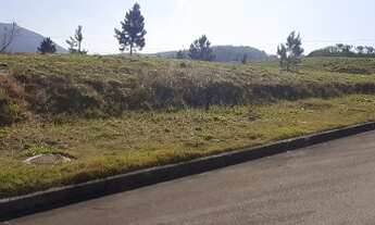 Imagem 6: Lote de 250m² pronto para Construir Loteamento Alta Vista em Real Parque