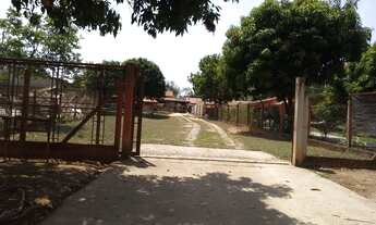 Imagem: Fazenda/Sítio/Chácara para venda tem 200