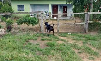 Imagem 5: SÍTIO DE 42 ALQUEIRES THEOBROMA