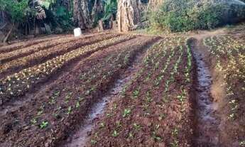 Imagem: SANTA LUZIA - SITIO - BARREIRO DO AMARAL