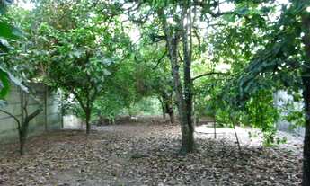 Imagem 5: Venda Chacara Chácara com venda por R$480.000