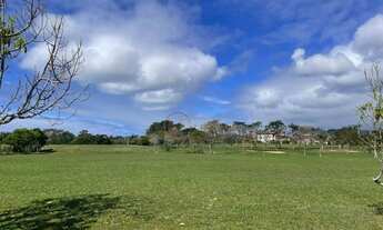 Imagem 4: Terreno à venda, 800 m² por R$ 550.000,00 - Ingleses do Rio Vermelho - Florianópolis/SC