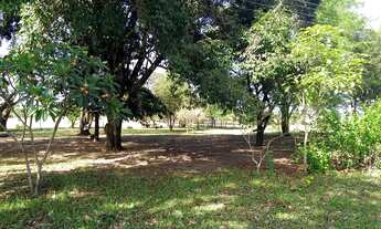 Imagem 7: Fazenda de 200 alqueires na região de Presidente Prudente dupla aptidão terra de cultura