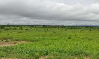 Imagem 3: FAZENDA 5000 Hectares em Palmas TO