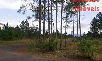 Imagem 3: Capão Novo - Terreno padrão - posto 9 village