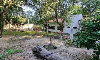 Imagem 5: Ótima localização, em terreno de mil metros