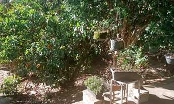 Imagem 6: SANTA LUZIA - SITIO - BARREIRO DO AMARAL