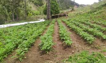Imagem 2: Excelente chácara a venda em Delfim Moreira sul de Minas Gerais