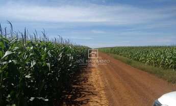 Imagem 4: Fazenda Região Pouso Alegre - MT