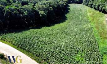 Imagem 2: Terreno Rural para Venda em Campo Largo, Colônia Balbino Cunha