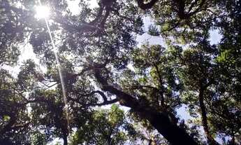 Imagem 4: CHACARA RESIDENCIAL em Valinhos - SP, Apaga Fogo