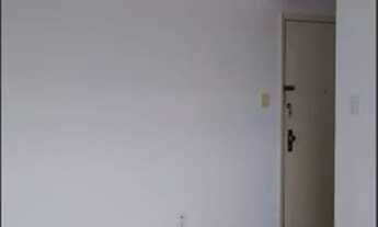 Imagem 2: Apartamento 40m - Mirandópolis - São Paulo