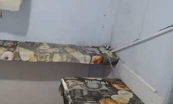 Imagem: Kitnet pra alugar casal 1.000