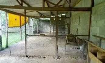 Imagem 3: VENDO SÍTIO EM MURIBECA (ENTRADA ANTES DO POSTO DOS GUARDAS