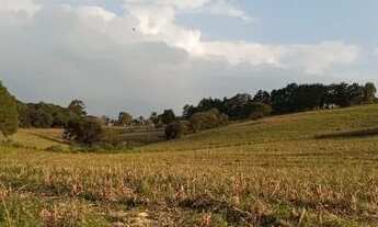 Imagem 5: APENAS 10 UNIDADES PROMOÇÃO IMPERDIVEL!