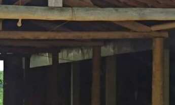 Imagem 4: Vendo terreno na estrada do pontal, Linhares-ES com 40 Alqueires