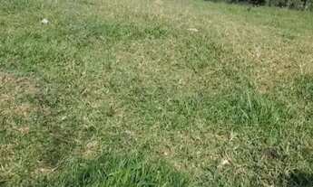 Imagem 2: 2 Alqueires sem benfeitoria com energia trifásica em Prof. Jamilrifasica