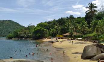 Imagem 6: Terreno a venda/Paraty Grauna