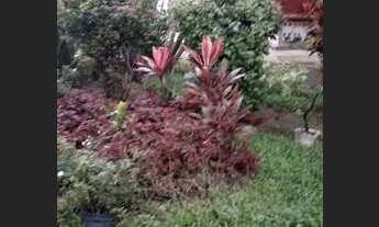 Imagem 2: Apartamento para venda com 66 metros quadrados com 2 quartos