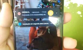 Imagem 2: Celular Motorola G22