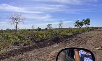Imagem 6: Fazenda cocalinho